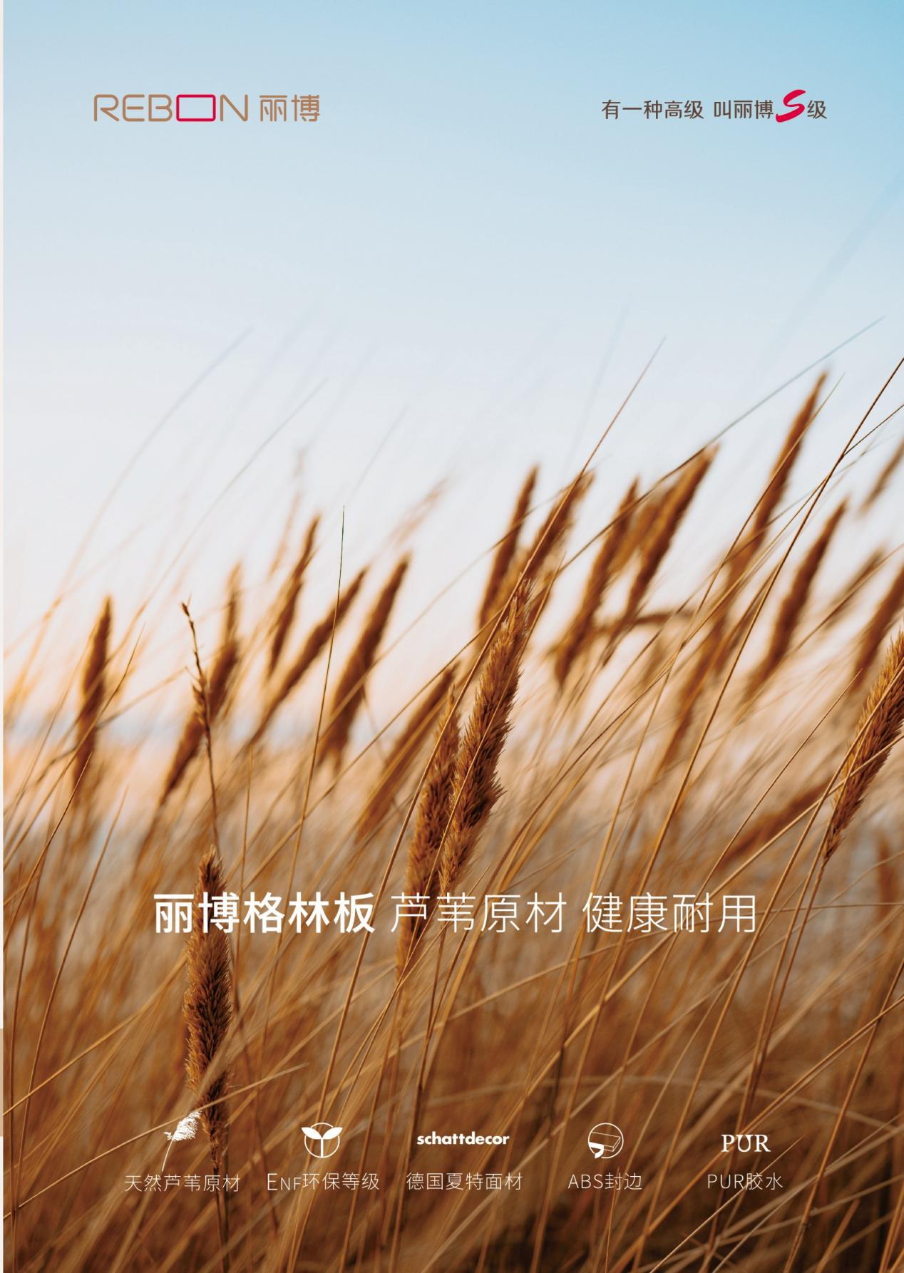 圖片3.jpg